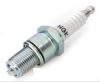 950 Generator spark plug