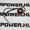 Gasoline engine stop switch