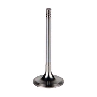 TD226B (Deutz) WD615  exhaust valve 12159608