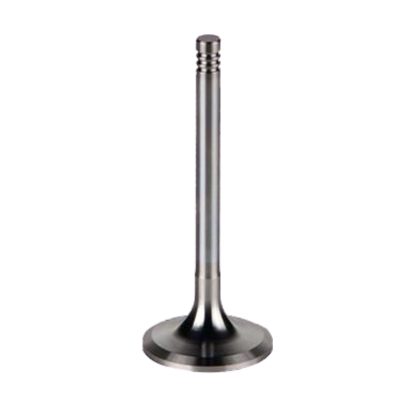 TD226B (Deutz) WD615  exhaust valve 12159608