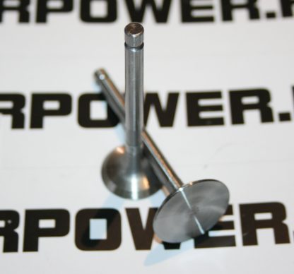 220 Diesel engine valve