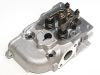 300 Diesel Engine Cylinder head
